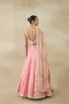 Poppy Pink Lehenga Set 