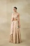 Peach Lehenga Set 