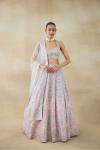 Cement Grey Lehenga Set 