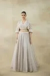 Bright Gray Organza Lehenga Set