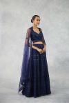 Deep Navy Net Lehenga Set 