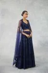 Deep Navy Net Lehenga Set 
