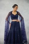 Deep Navy Net Lehenga Set 