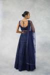 Deep Navy Net Lehenga Set 