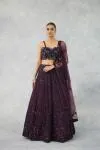 Deep Wine Net Lehenga Set