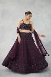 Deep Wine Net Lehenga Set