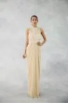 Beige Draped Net Gown