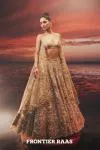 Gold Gilded Net Lehenga