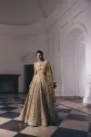 Mustard-Gold Net Lehenga Set