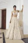 Vanilla Pearl Drop Lehenga Set