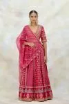 Rani Pink Silk Organza Lehenga Set