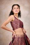 Persian Mauve Banarasi Silk Lehenga