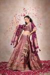 Persian Mauve Banarasi Silk Lehenga