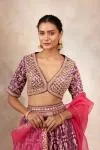 Plum Banarasi Silk Lehenga