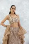 Beige Organza Lehenga Set