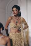Mustard-Gold Net Lehenga Set