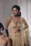 Mustard-Gold Net Lehenga Set