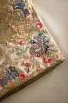 Champagne Gold Tissue Slik Saree