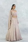 Mauve Georgette Lehenga Set