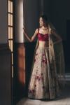 Gold Tissue Net Lehenga Set