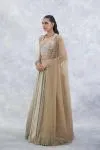 Gold Lycra Lehenga Set