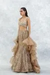 Beige Organza Lehenga Set