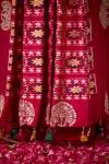 Rani Pink Ikkat Patola Saree