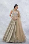 Gold Lycra Lehenga Set