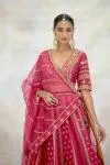 Rani Pink Silk Organza Lehenga Set