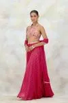 Fuchsia Pink Organza Sharara Set