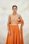 Tangerine Organza Sharara Set