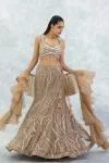 Beige Organza Lehenga Set