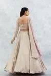 Mauve Georgette Lehenga Set
