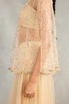 Ivory Shimmer Set Sharara