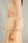 Ivory Shimmer Set Sharara