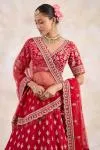 Venetian Red Lehenga Set 