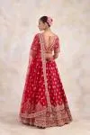 Venetian Red Lehenga Set 