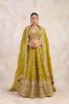 Olive Yellow Lehenga Set