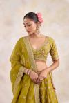 Olive Yellow Lehenga Set 