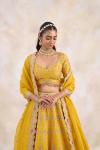 Hufflepuff Yellow Lehenga Set 
