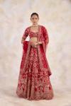 Burgundy Red Lehenga Set 