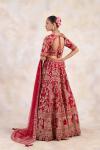 Burgundy Red Lehenga Set 