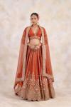 Sinopia Orange Lehenga Set 