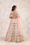 Vanilla Beige Lehenga Set 