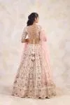 Vanilla Beige Lehenga Set