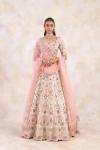 Vanilla Beige Lehenga Set 