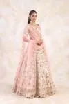 Vanilla Beige Lehenga Set