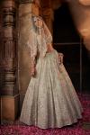 Tea Green Organza Lehenga