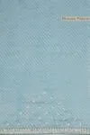 Dawn Blue Organza Saree