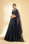 Navy Blue Net Blouse and Organza Lehenga